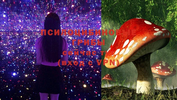 индика Алексин