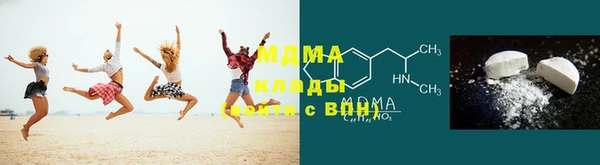 индика Алексин