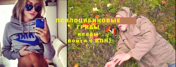дмт Аркадак