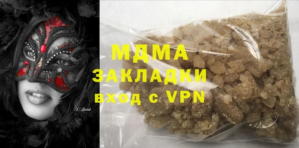 индика Алексин