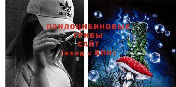 индика Алексин