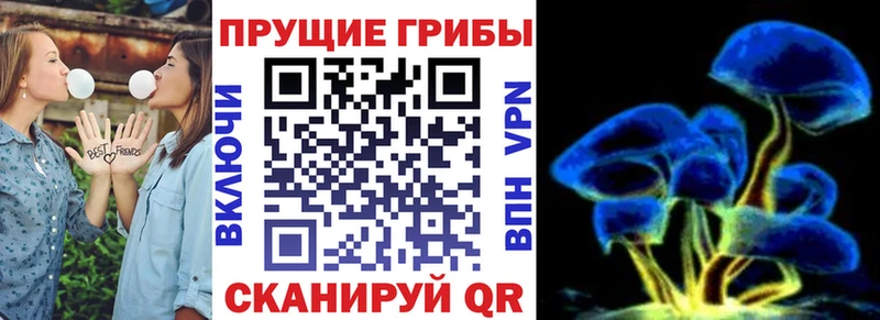 Псилоцибиновые грибы прущие грибы Бабаево